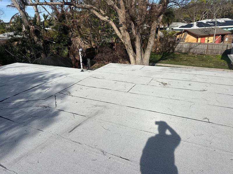 roof replacement in Dunedin, Florida
