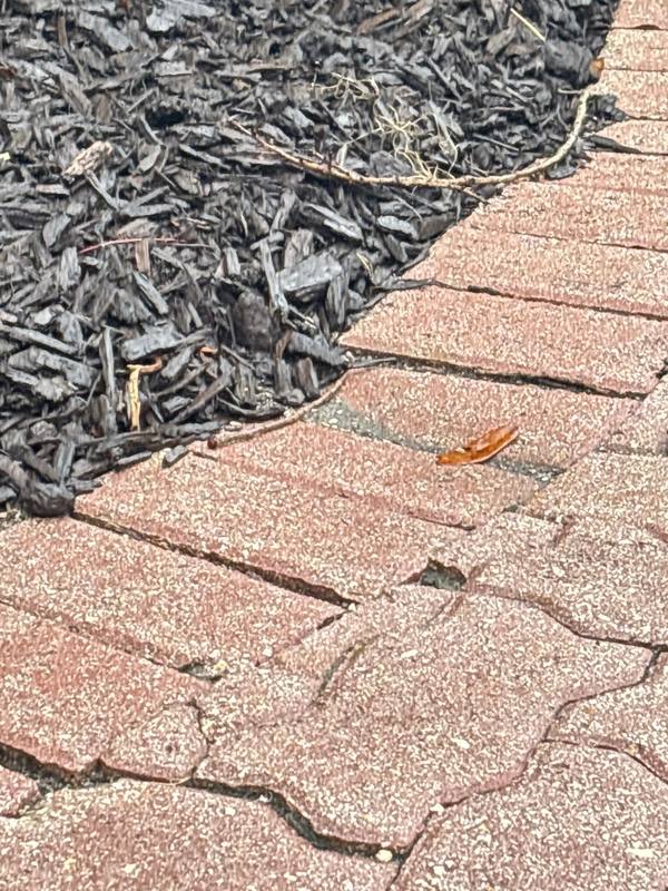 residential tile roof replacement by Hloska Roofing in Englewood