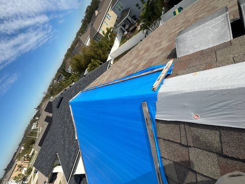 shingle roof replacement in Tampa, Florida