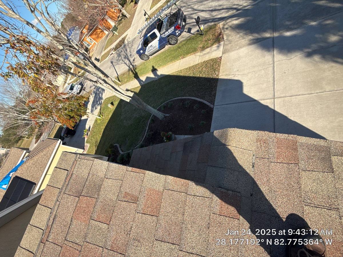shingle roof replacement in Holiday, Florida