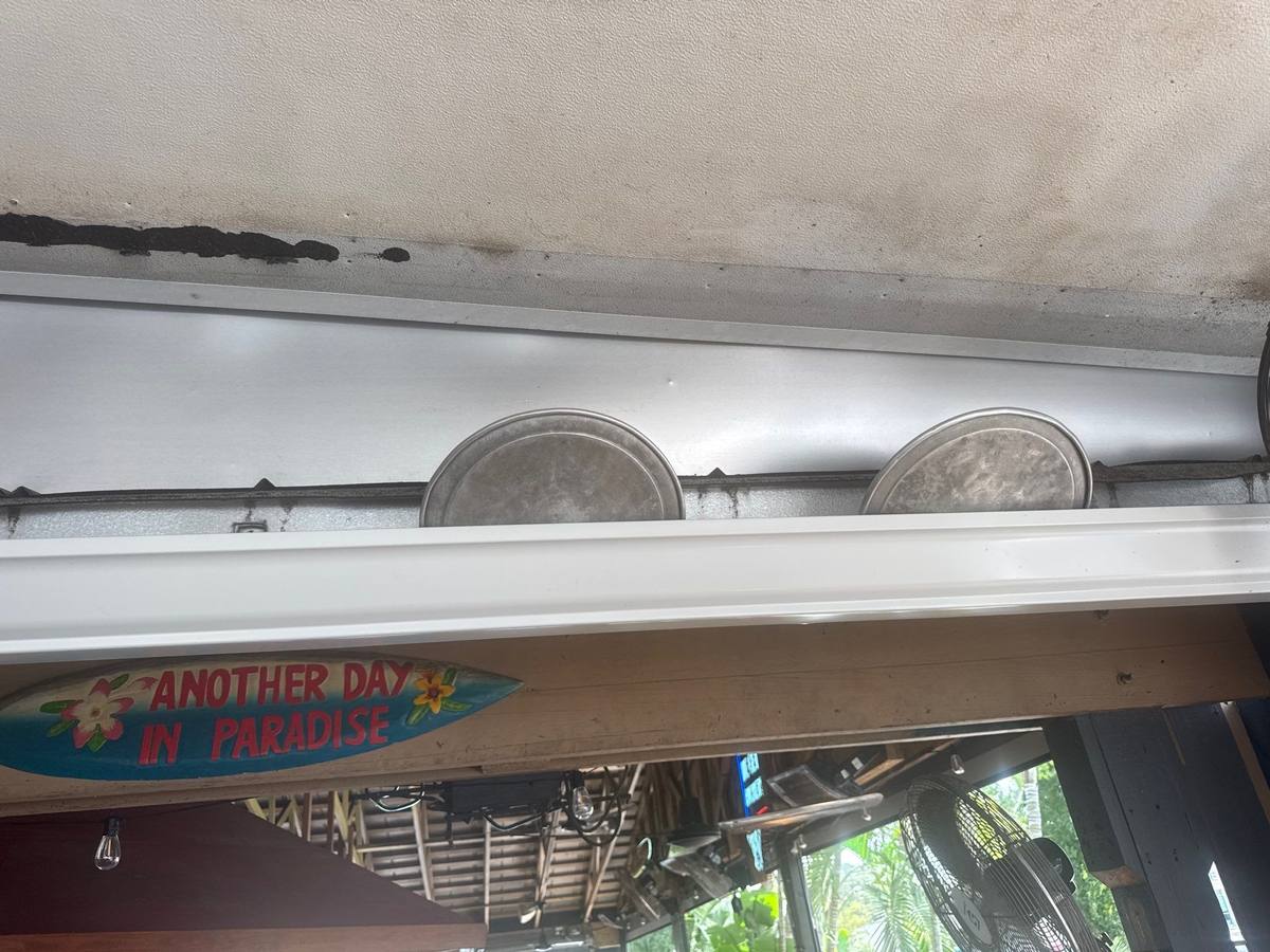 roof replacement in Palm Harbor, Florida