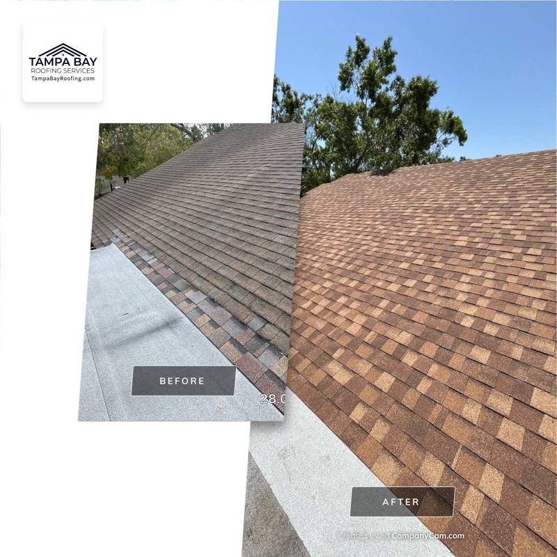 residential shingle roof replacement by Hloska Roofing in Oldsmar