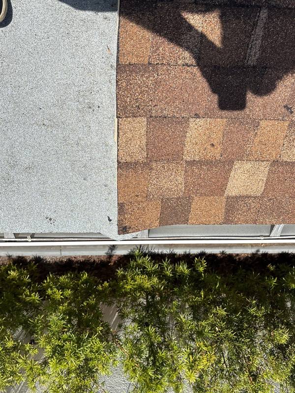 roofing project near S Woodlands Dr in Oldsmar