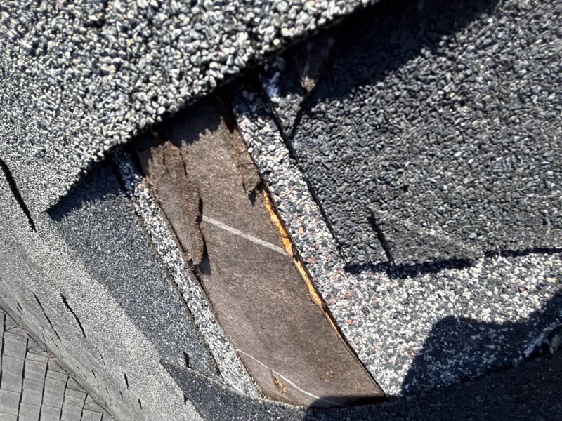 roof repair in New Port Richey, Florida
