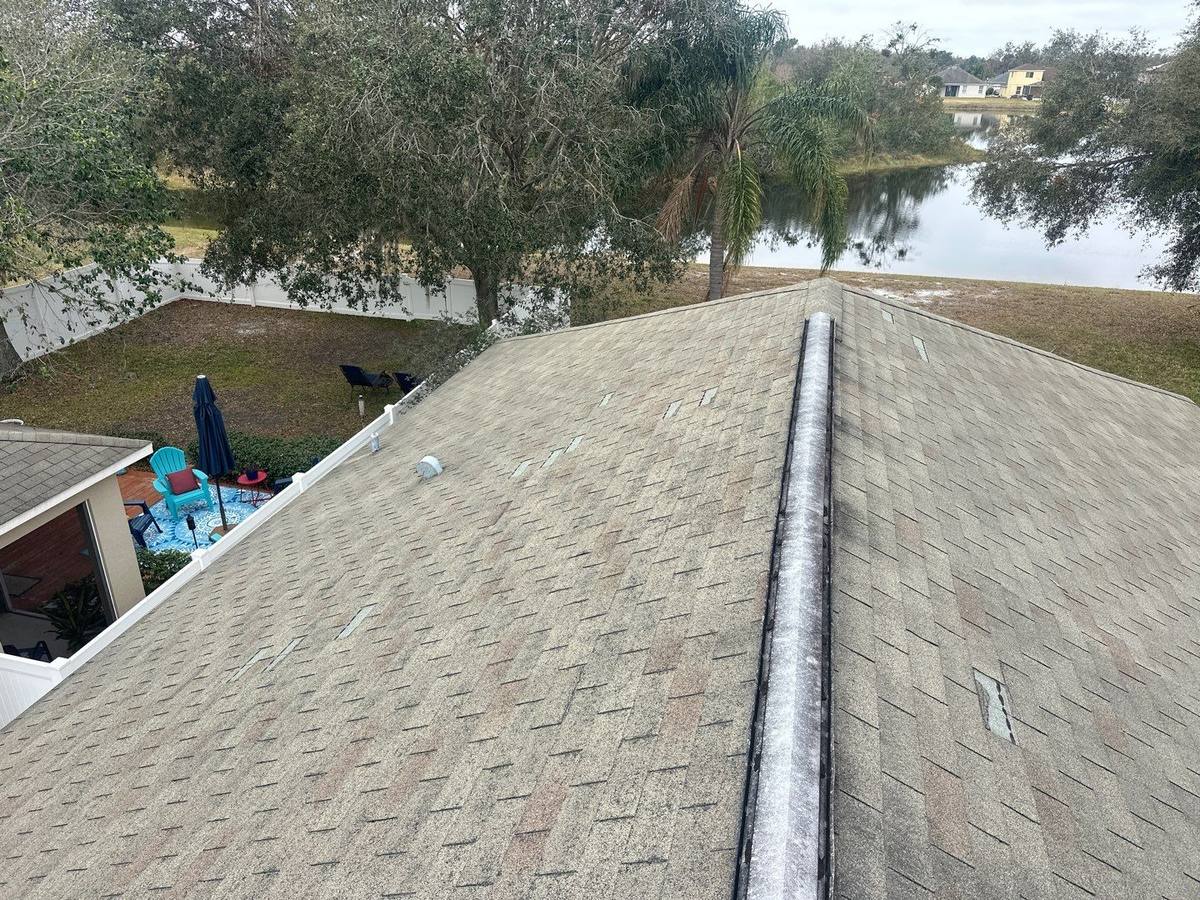 shingle roof replacement in Tampa, Florida