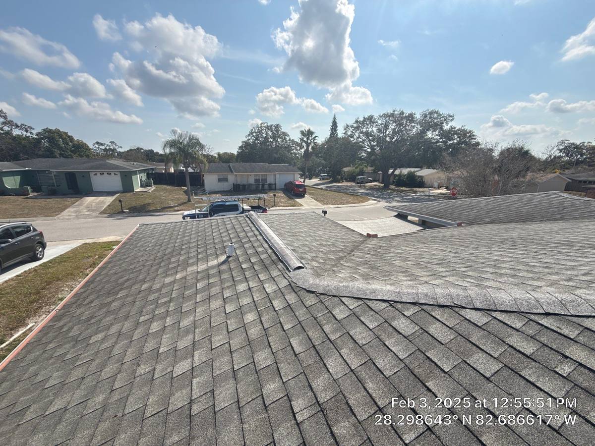 shingle roof replacement in Port Richey, Florida