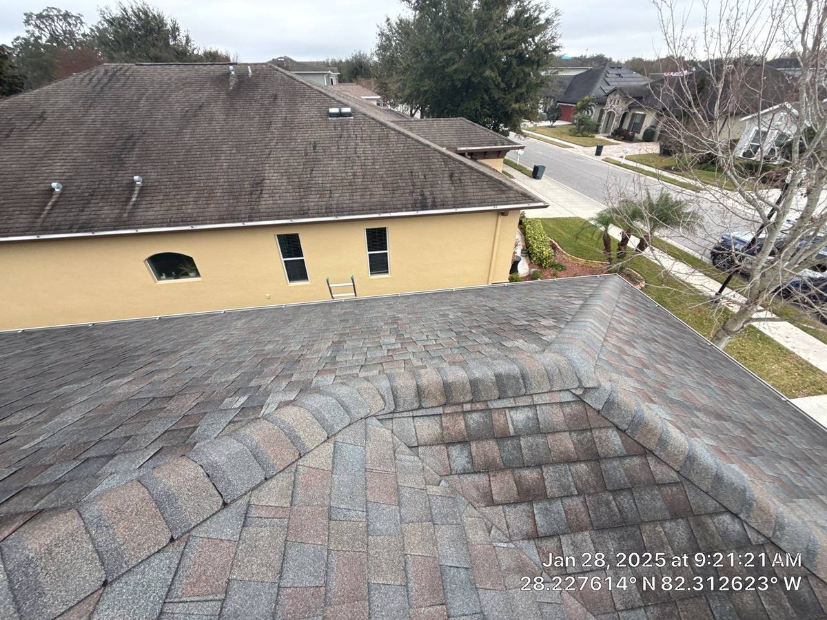 shingle roof replacement in Wesley Chapel, Florida