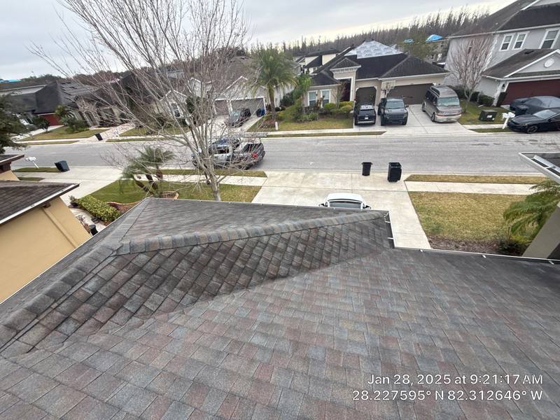 residential shingle roof replacement by Hloska Roofing in Wesley Chapel