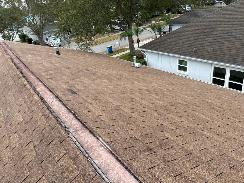 residential shingle roof replacement by Hloska Roofing in Wesley Chapel