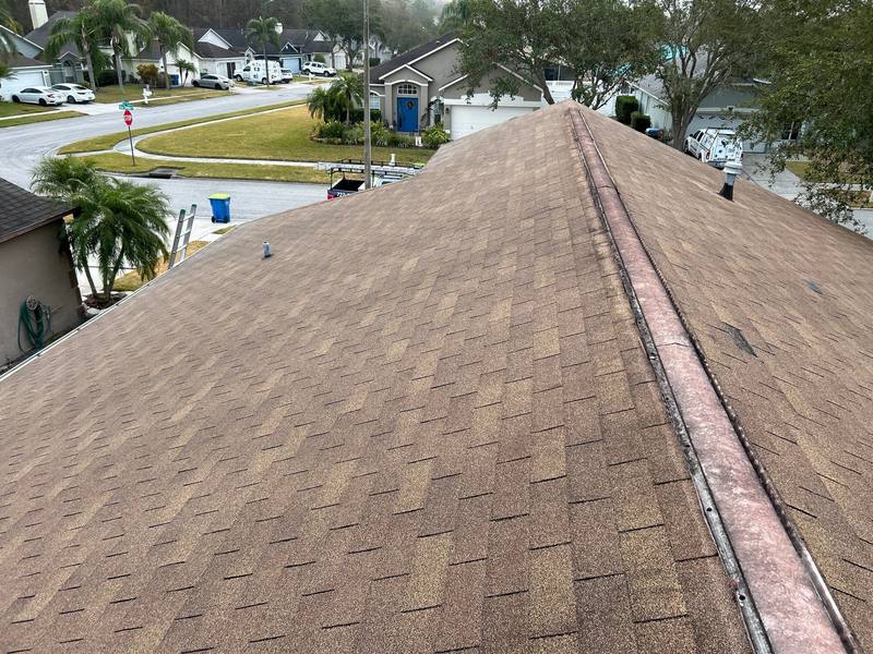 shingle roof replacement in Wesley Chapel, Florida