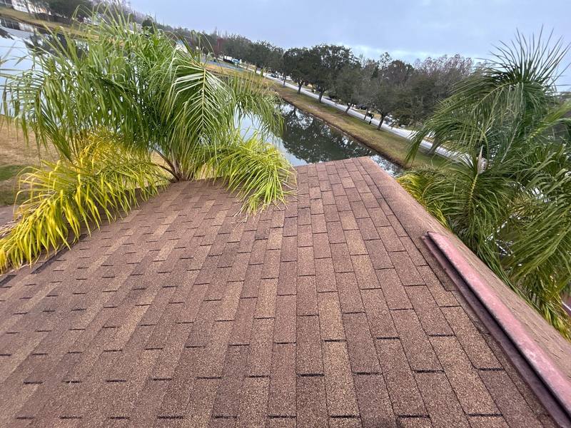 roofing project near Sea Dahlia Pass in Wesley Chapel