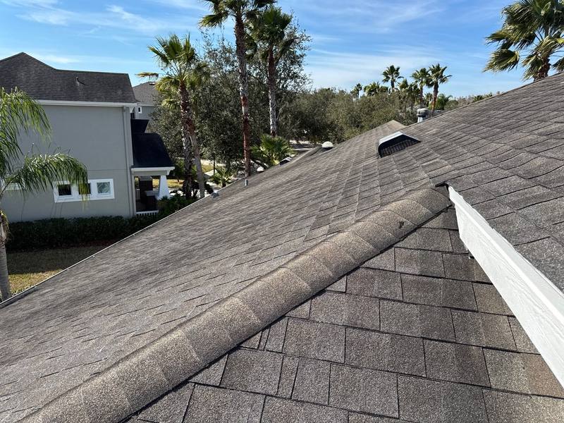 shingle roof replacement in Tampa, Florida