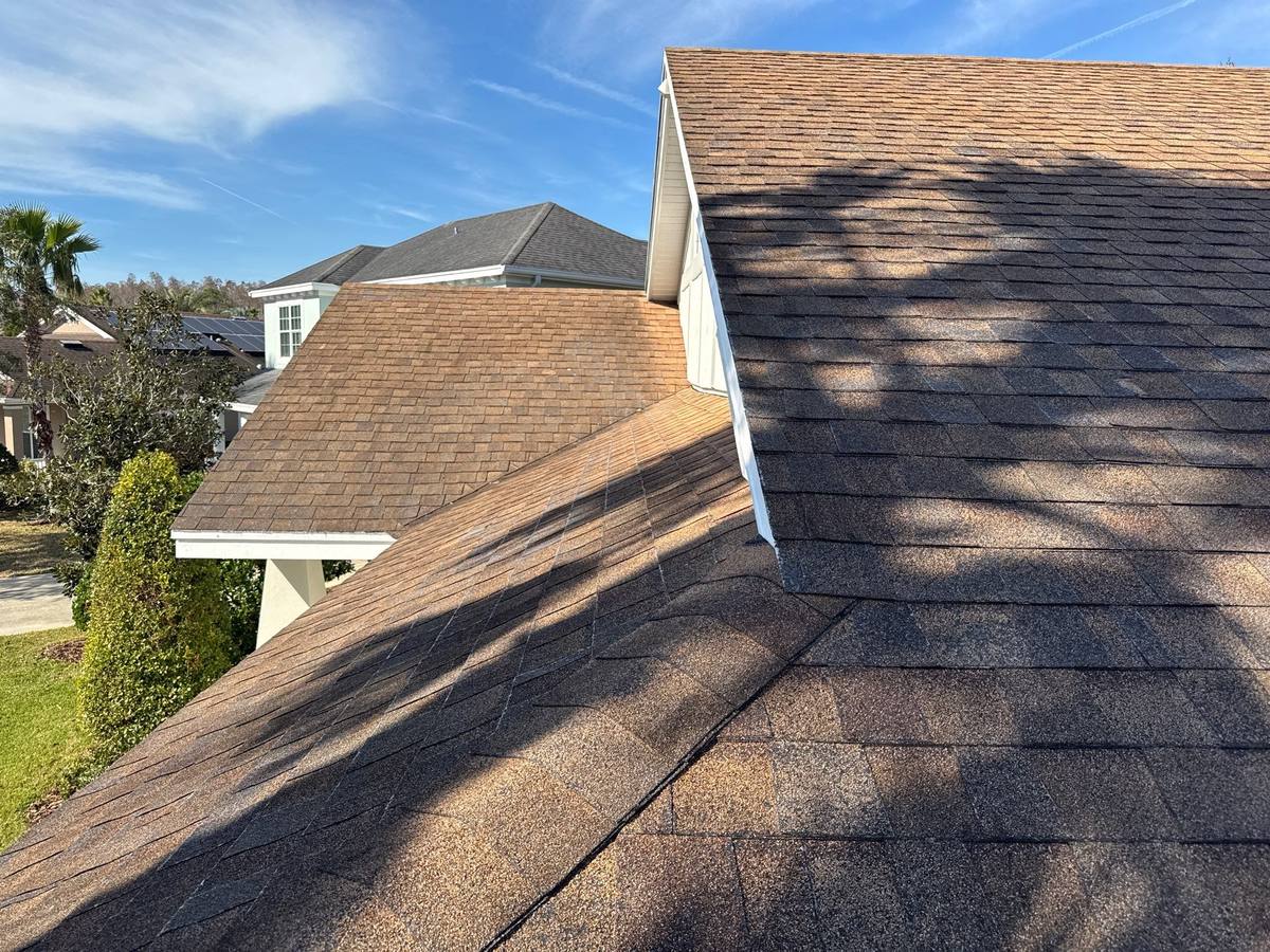 shingle roof replacement in Tampa, Florida