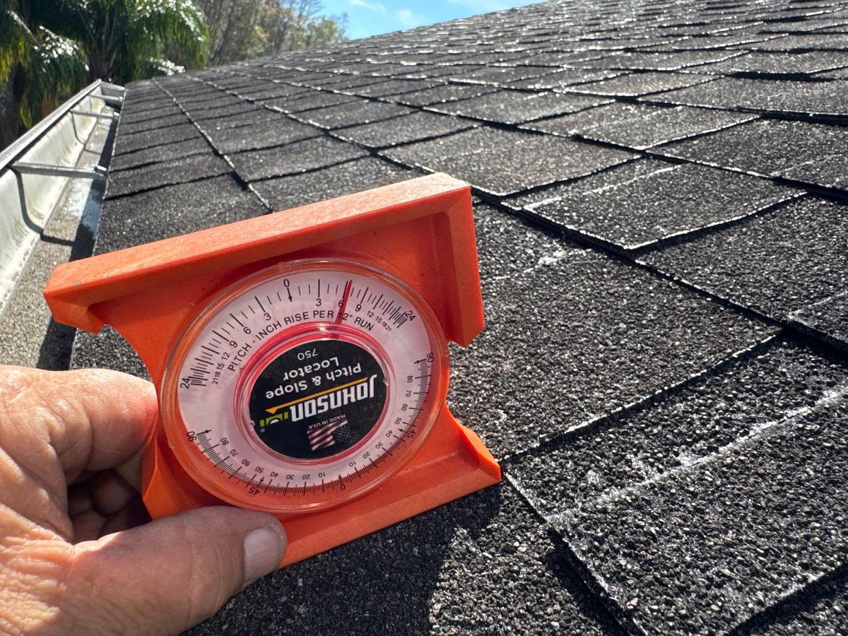 shingle roof replacement in Tampa, Florida