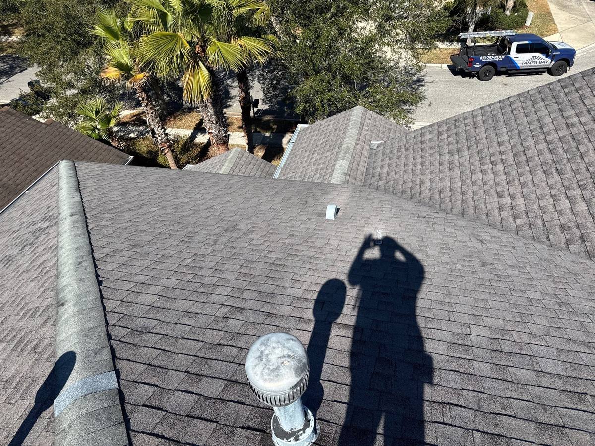 shingle roof replacement in Tampa, Florida