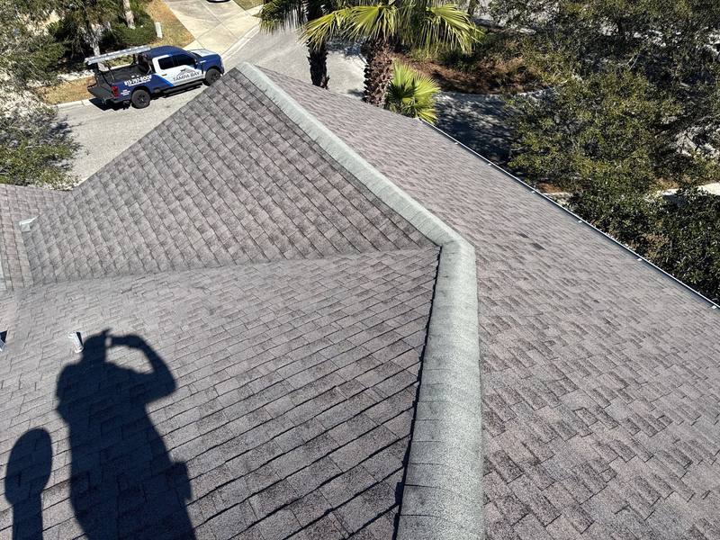 residential shingle roof replacement by Hloska Roofing in Tampa