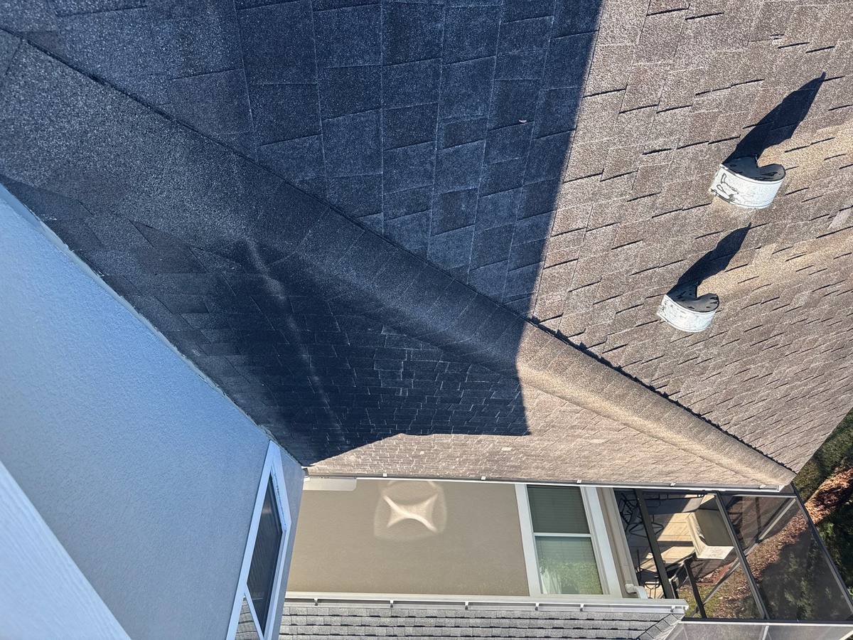 shingle roof replacement in Tampa, Florida
