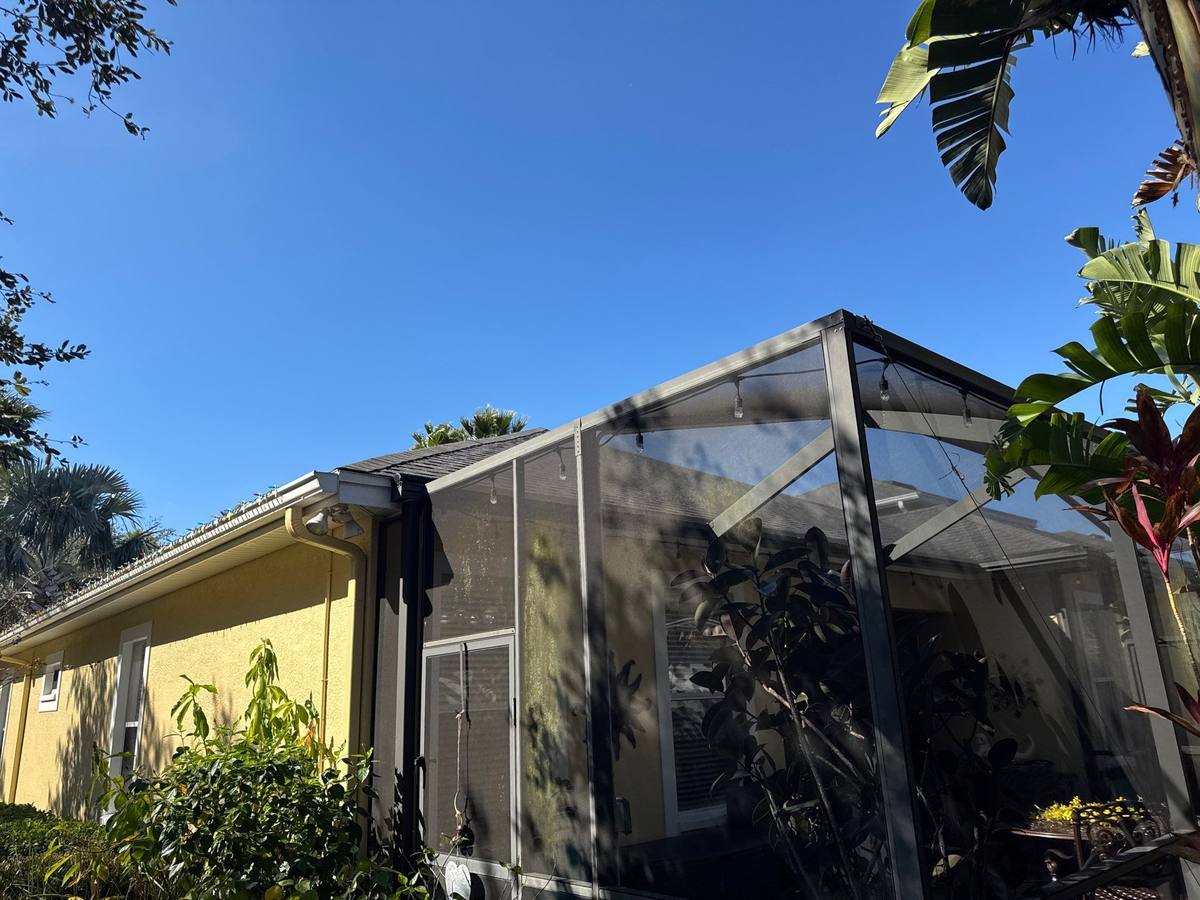 shingle roof replacement in Tampa, Florida