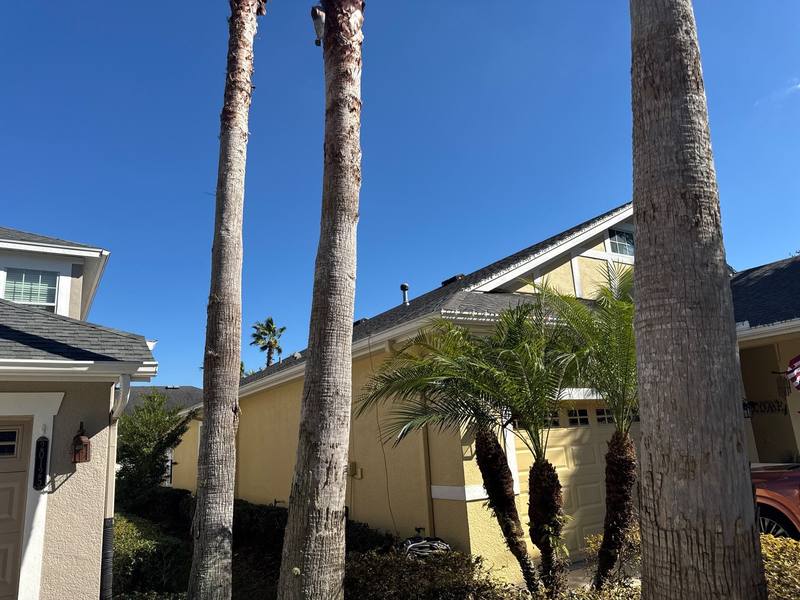 residential shingle roof replacement by Hloska Roofing in Tampa