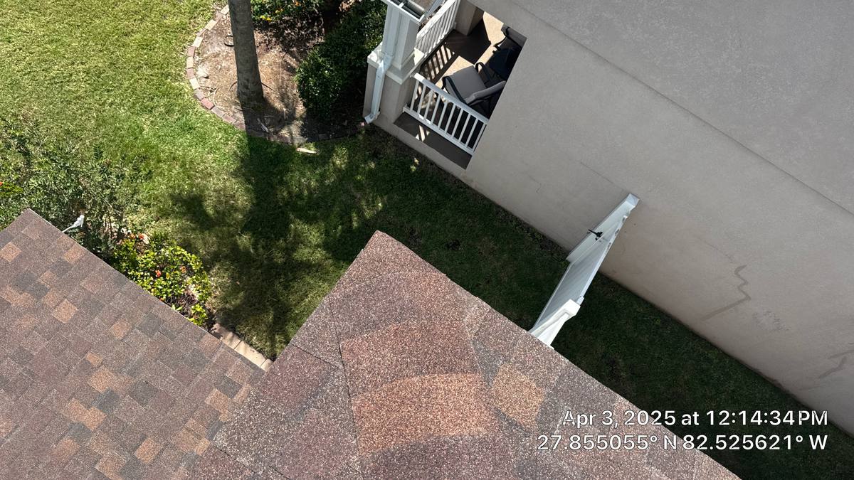 shingle roof replacement in Tampa, Florida