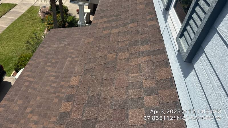 residential shingle roof replacement by Hloska Roofing in Tampa
