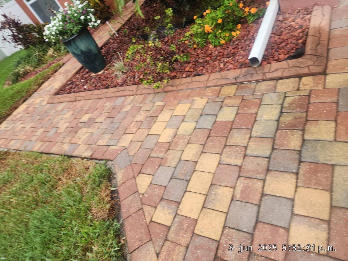 shingle roof replacement in New Port Richey, Florida
