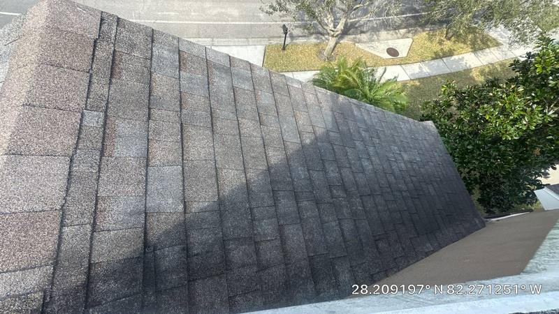 shingle roof replacement in Wesley Chapel, Florida