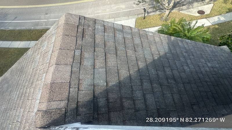 residential shingle roof replacement by Hloska Roofing in Wesley Chapel