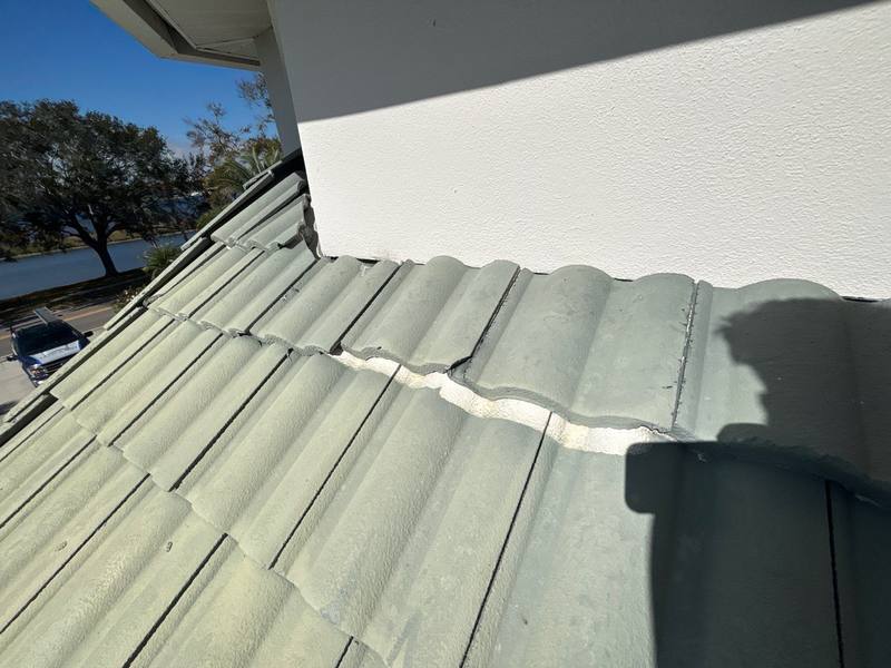 roof replacement in Tampa, Florida