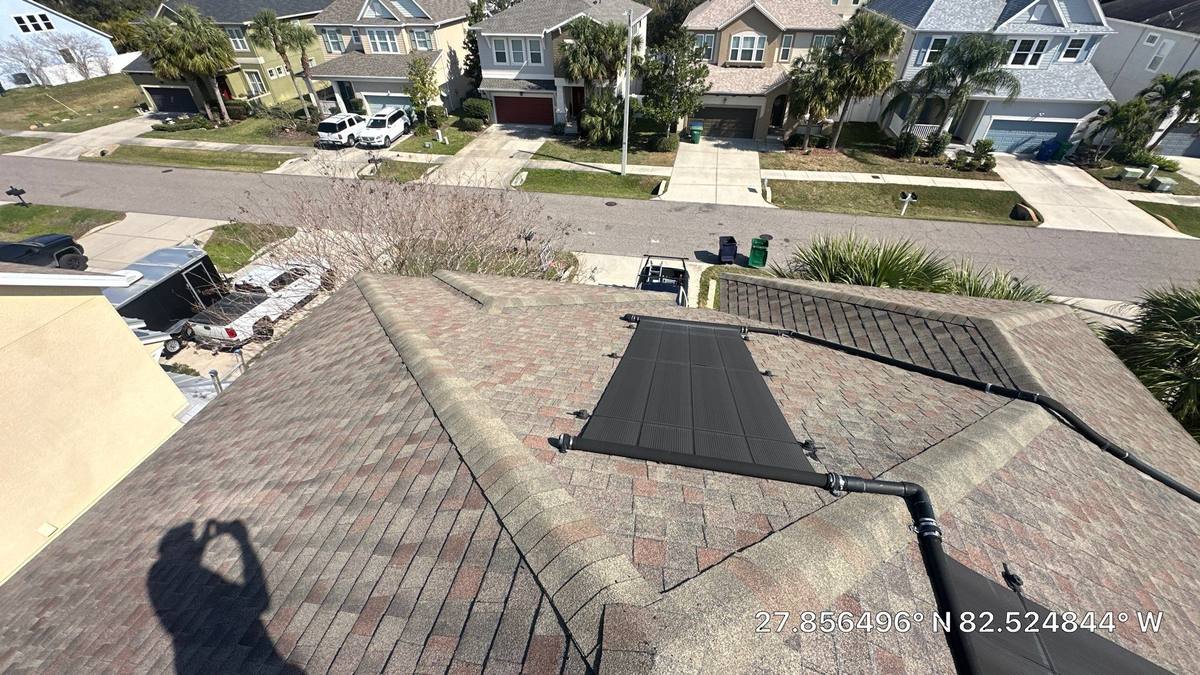 shingle roof replacement in Tampa, Florida