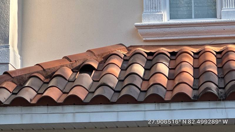 roofing project near West Bay Vista Ave in Tampa
