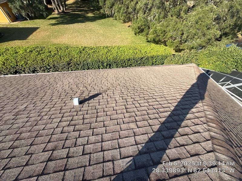 shingle roof replacement in Spring Hill, Florida