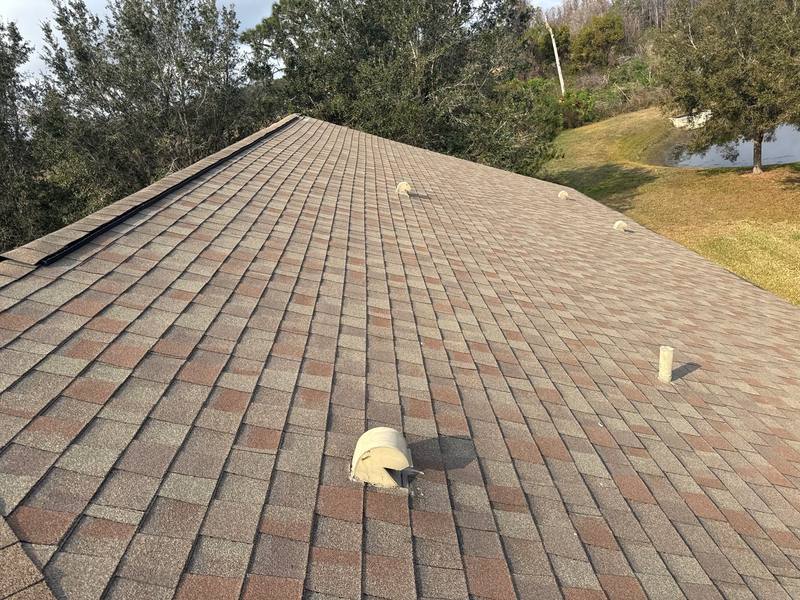roof repair in Land O Lakes, Florida