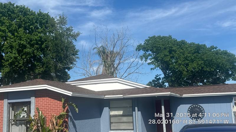 shingle roof replacement in Tampa, Florida