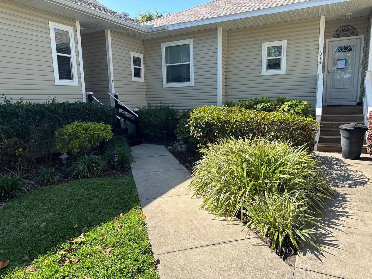 shingle roof replacement in Tarpon Springs, Florida