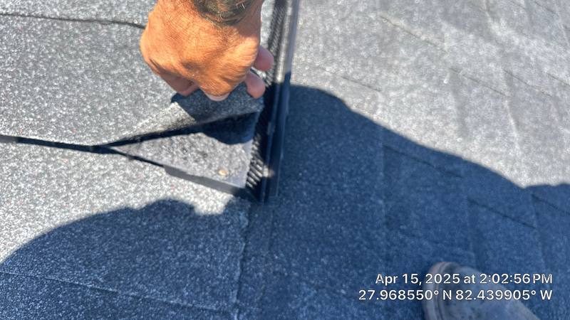 residential shingle roof replacement by Hloska Roofing in Tampa