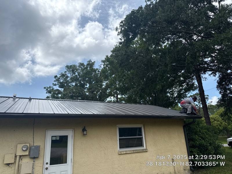 shingle roof replacement in New Port Richey, Florida