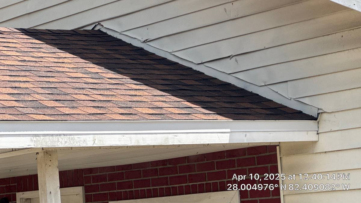 shingle roof replacement in Tampa, Florida