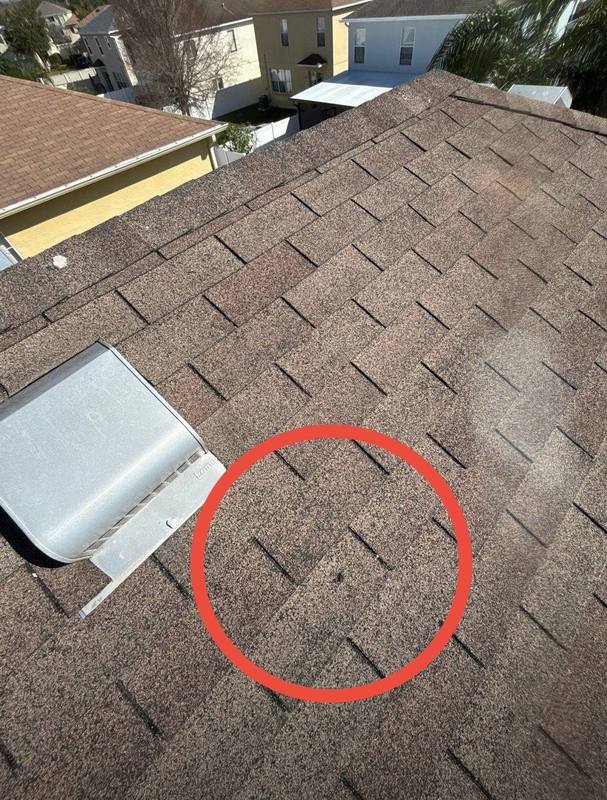roof repair in Land O Lakes, Florida