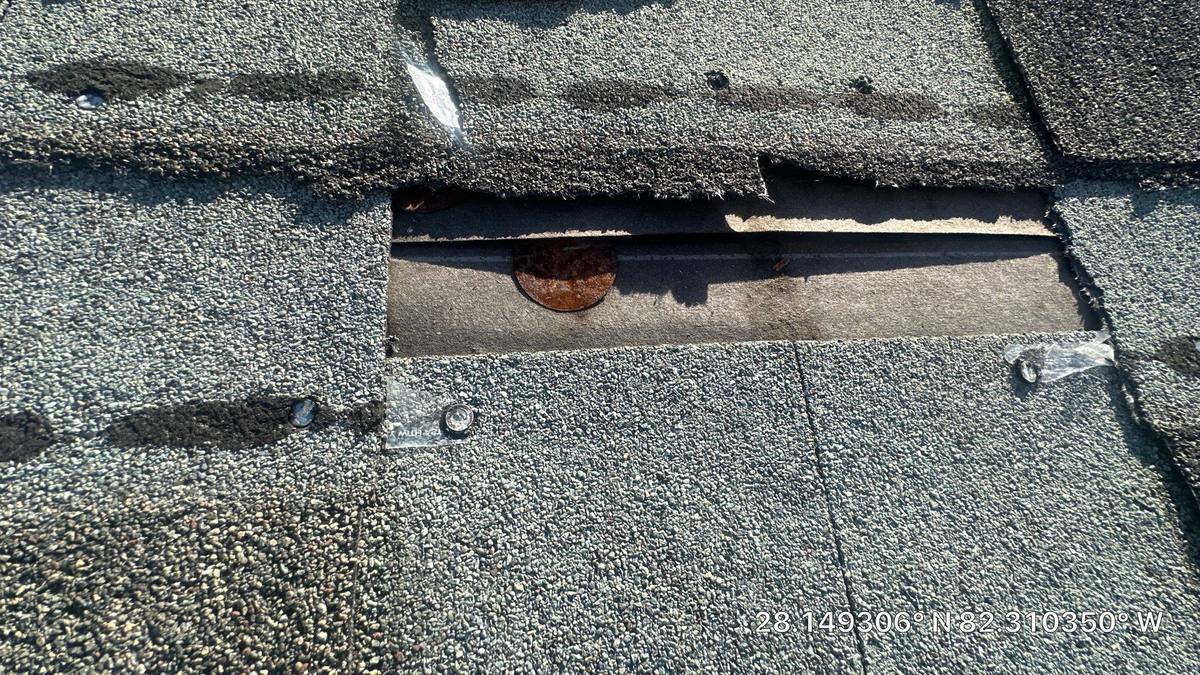 shingle roof replacement in Tampa, Florida