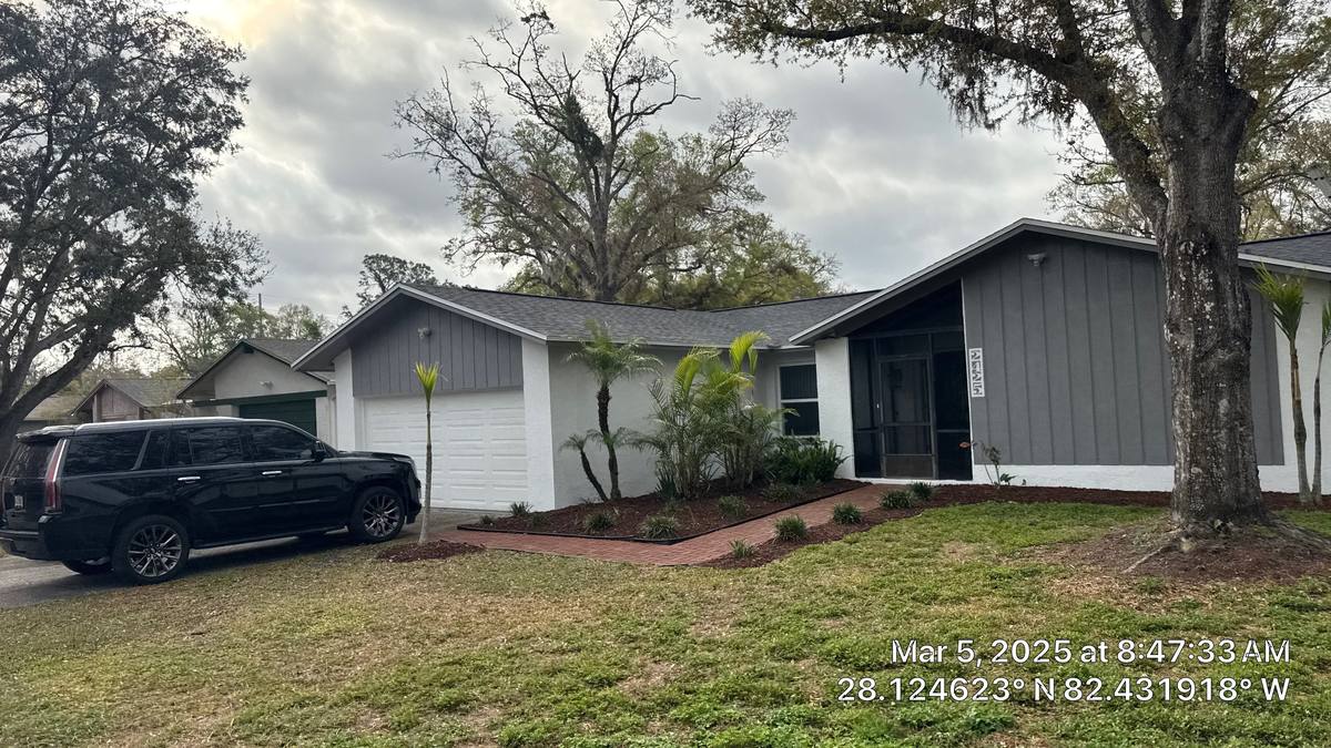 shingle roof replacement in Lutz, Florida