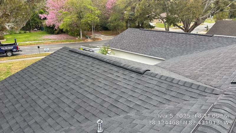 roofing project near Blind Pond Ave in Lutz