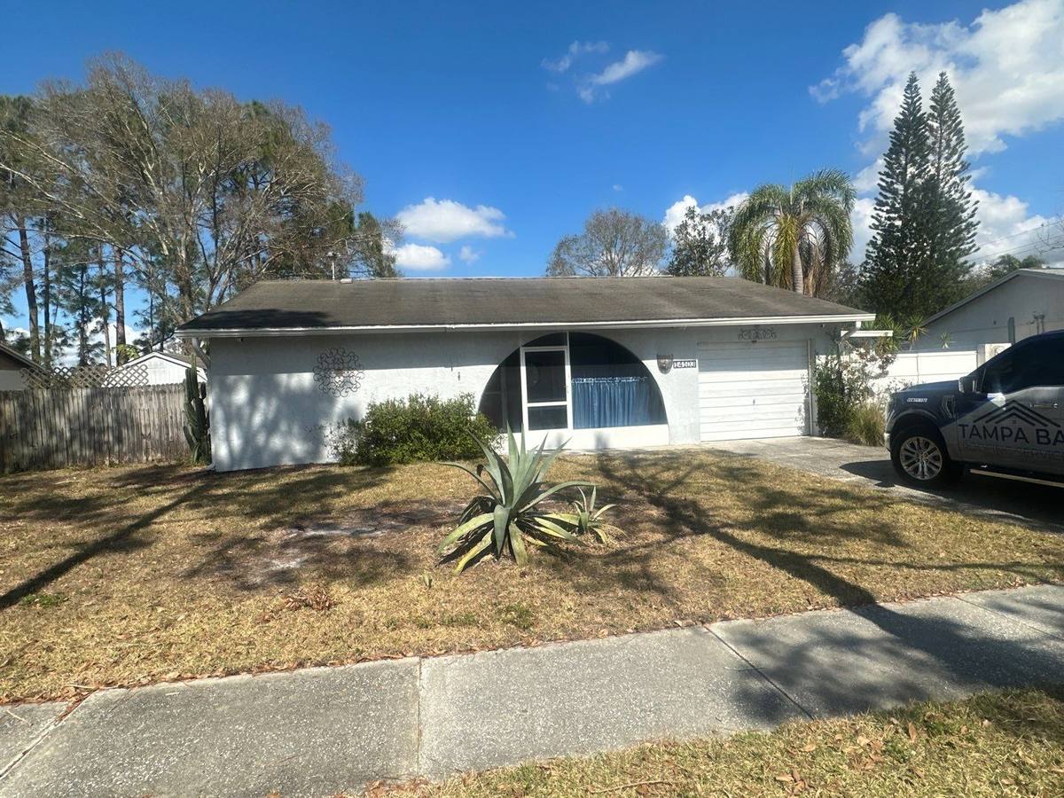 shingle roof replacement in Tampa, Florida