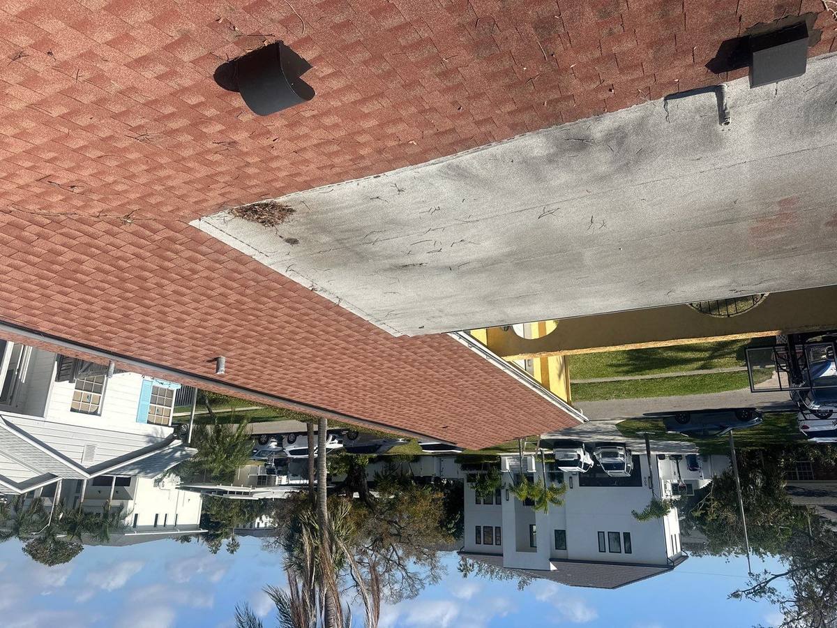 shingle roof replacement in Tampa, Florida
