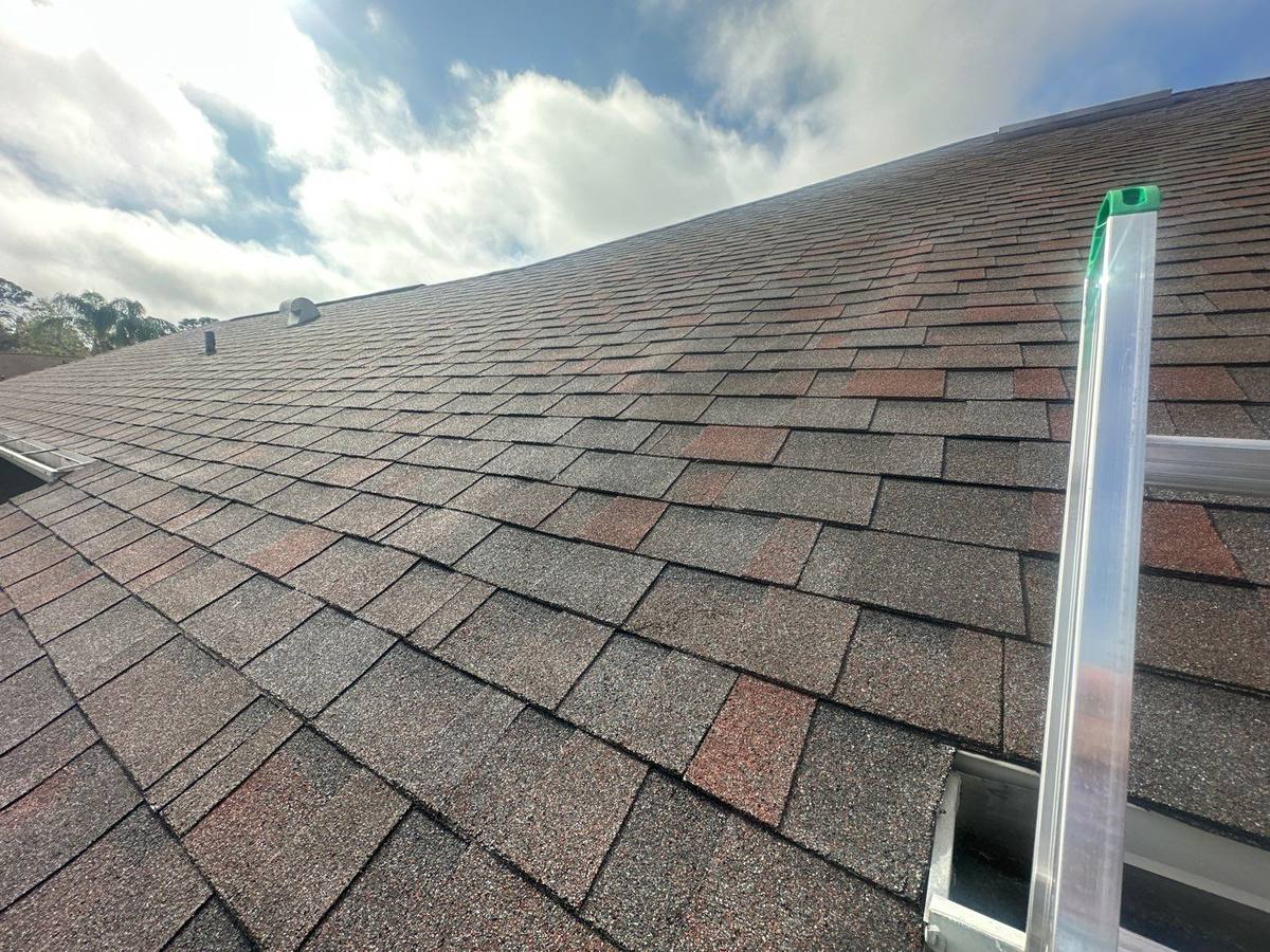 roof repair in Palm Harbor, Florida