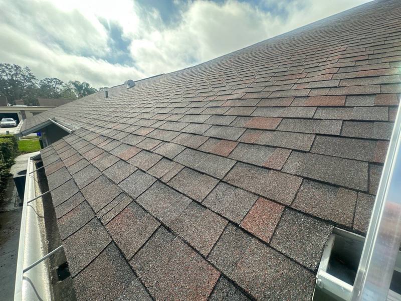 roofing project near Tanglewood Trail in Palm Harbor