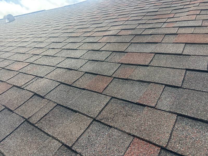 roofing project near Tanglewood Trail in Palm Harbor