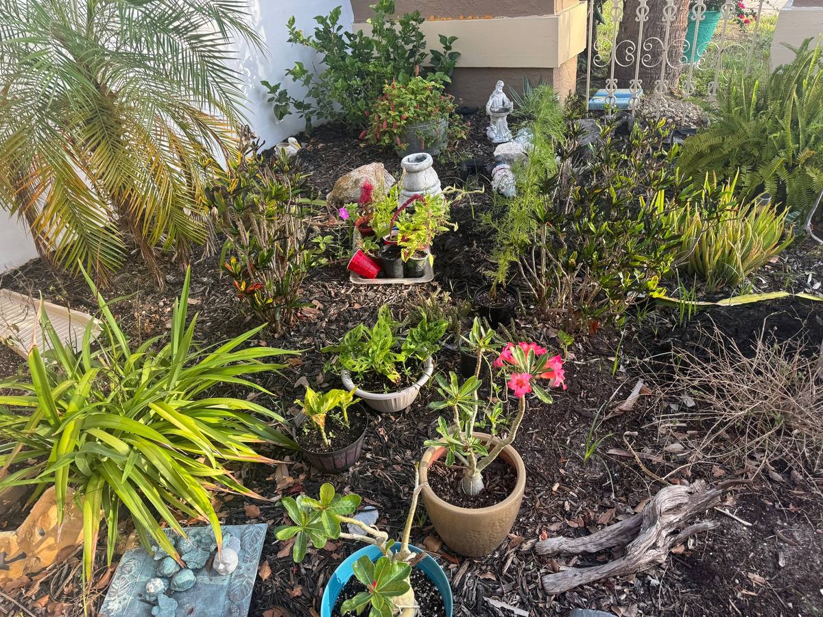 shingle roof replacement in Port Richey, Florida