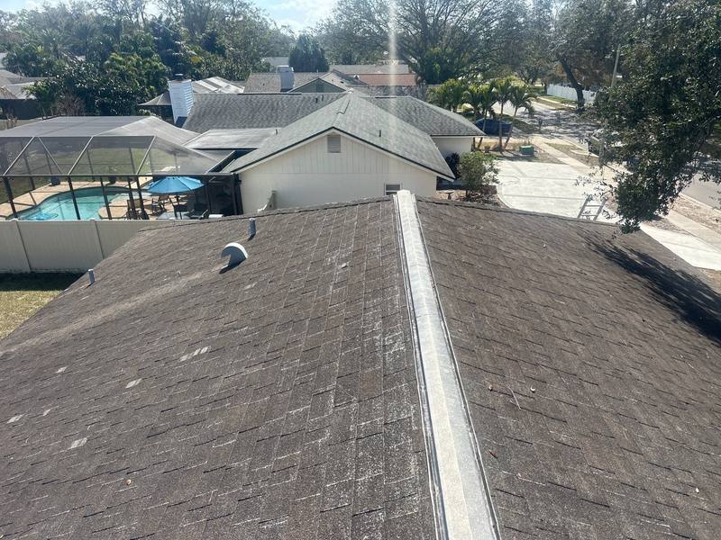 completed roofing project in Palm Harbor FL