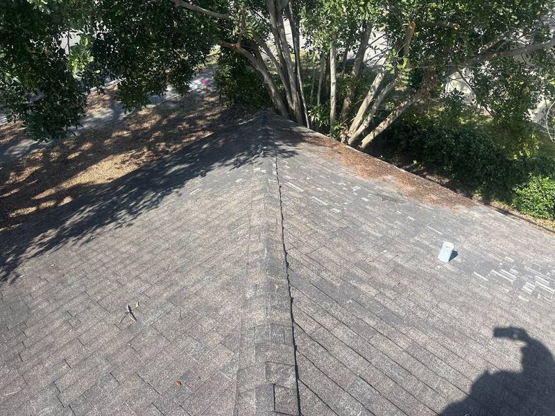 roofing project near Hammock Dr in Palm Harbor